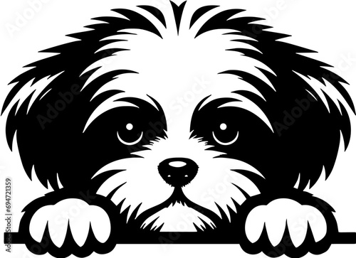 Peekapoo icon 11