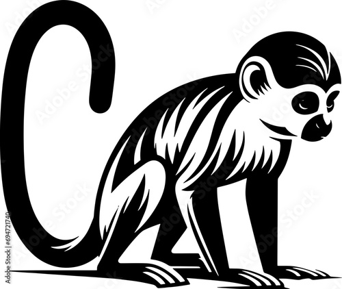 Patas Monkey icon 13