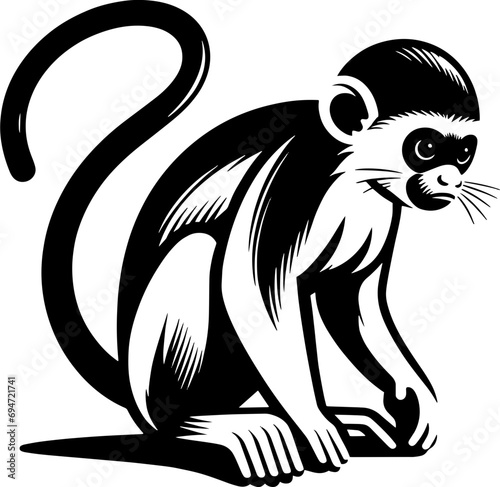 Patas Monkey icon 9