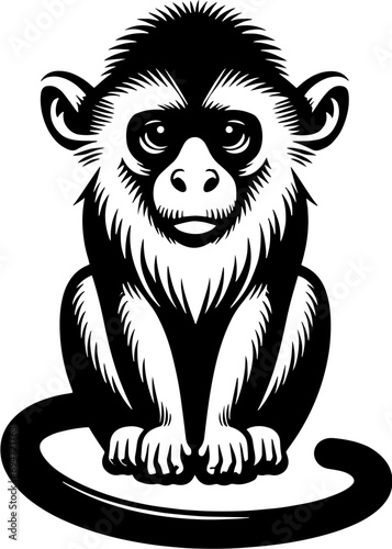 Patas Monkey icon 3