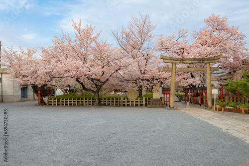 Rokusonno shrine built in 963, enshrines MInamota no Tsunemoto the 6th grandson of Emperor Seiwa. It's one of the best cherryblossom viewing spots in Kyoto photo