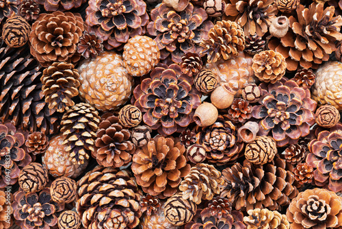 Full frame of various pine cones and gumnuts photo