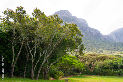 The Table, Cape Town, view from Kirstenbosch Gardens, South Africa