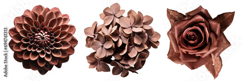 Set of brown flowers on isolated background photo