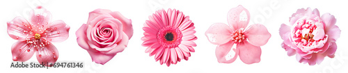 Set of pink flowers on isolated background photo