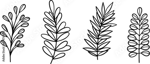 Line art leaves, hand drawn leaf decorative elements, isolated vector clip art illsutration set photo
