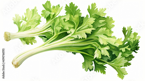 Celery Illustration on White Background