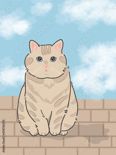 cat on a fence