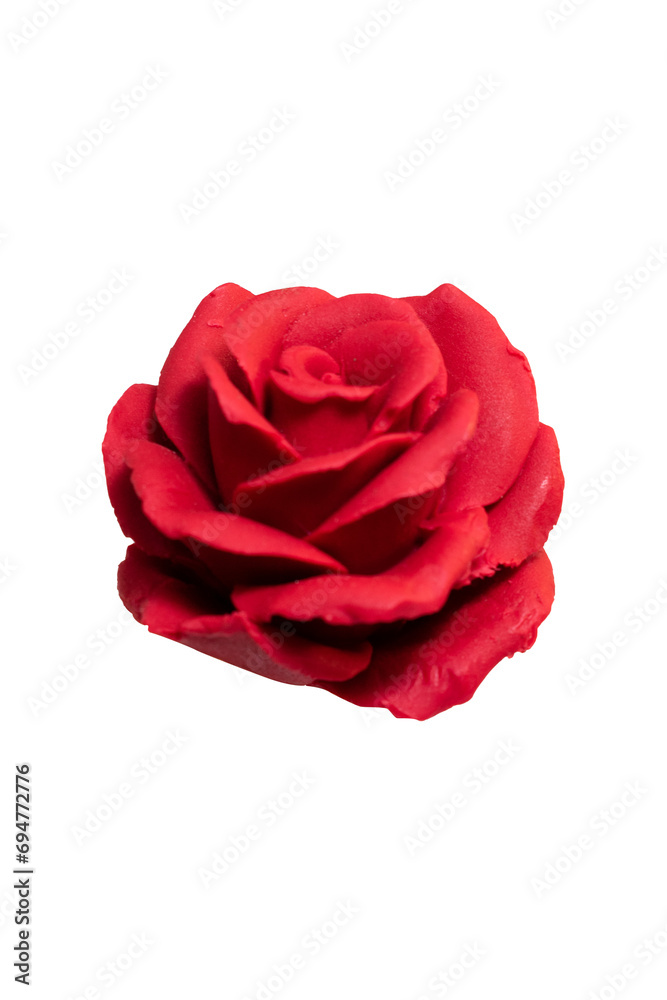 Red Rose Isolated on Transparent Background