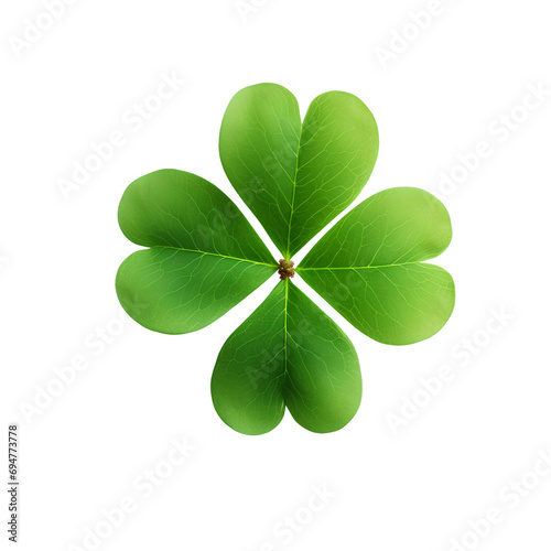 Four leaf clover, isolated on transparent background, PNG, 300 DPI