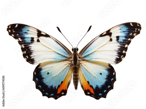 Blue butterfly in PNG format or on a transparent background. A decorative and design element for a project, banner, postcard, business, background. A beautiful bright butterfly. Insect. © OneMoreTry