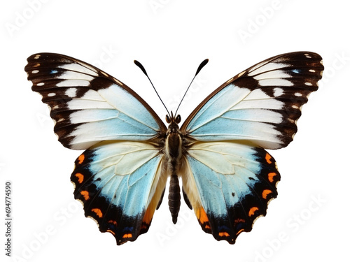 Blue butterfly in PNG format or on a transparent background. A decorative and design element for a project, banner, postcard, business, background. A beautiful bright butterfly. Insect.