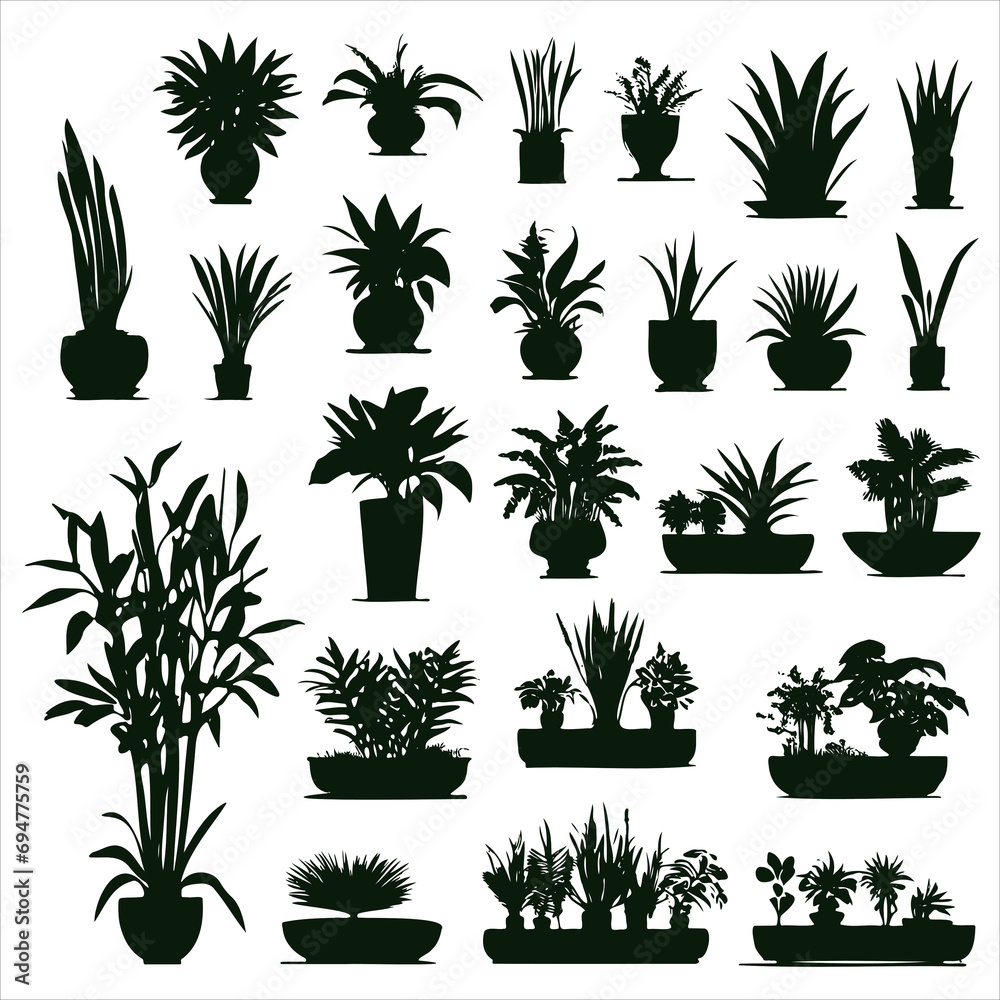 Set different potted houseplants silhouettes. Indoor flowers or plants in flower pots flat vector illustrations collection