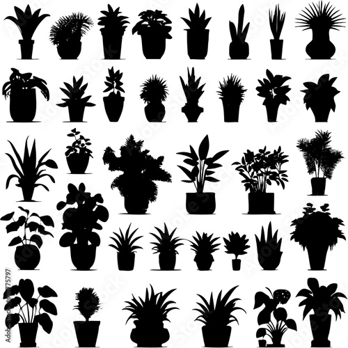 Houseplants. Vector set silhouettes home plants, succulents in pot. Indoor exotic flowers with stems and leaves. Monstera, ficus, pothos, yucca, dracaena, cacti, snake plant for home and interior