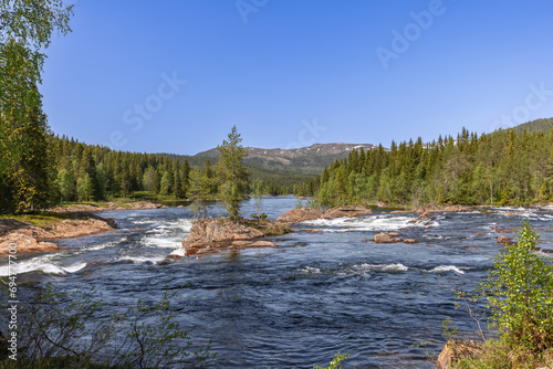 A vibrant summer scene captures the cascading Namsen River in Namsskogan, Trondelag, Norway, with its rapid waters flowing over large stones, where solitary trees find their roots