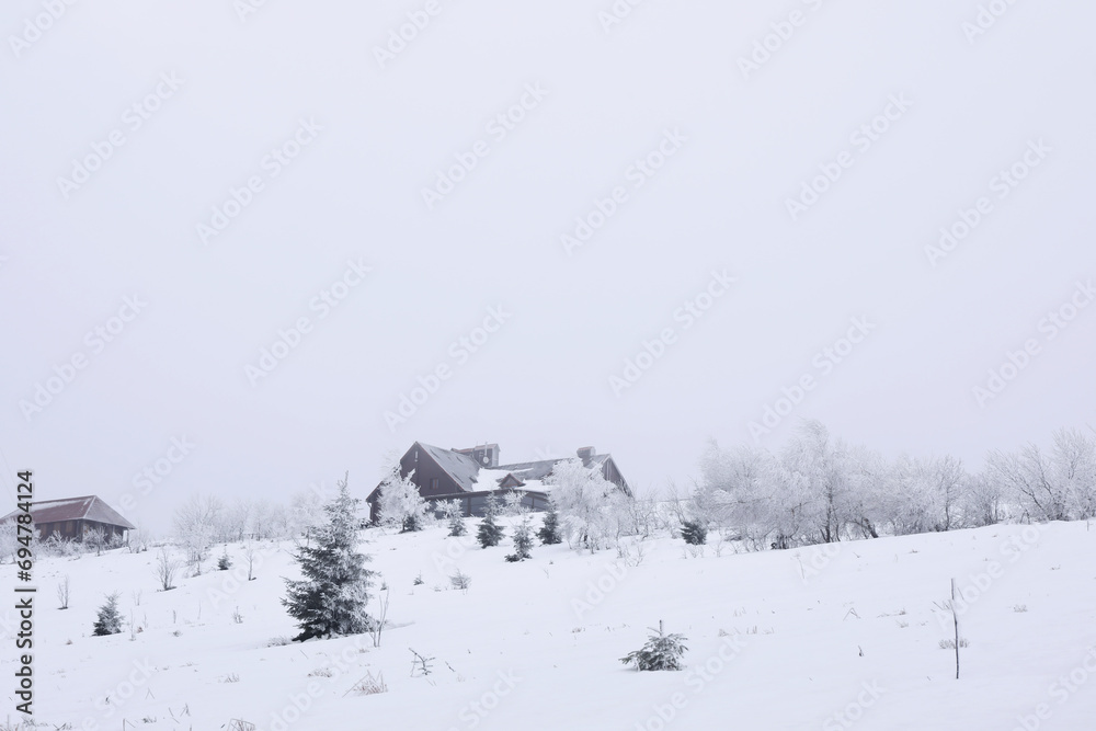 Fototapeta premium Picturesque landscape with houses, trees and plants on snowy day
