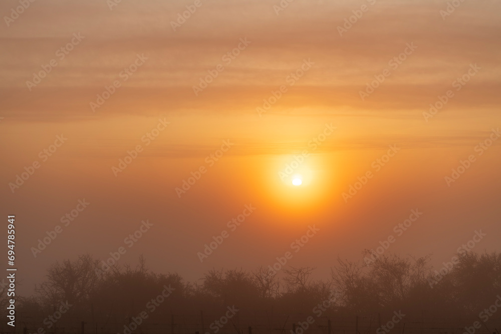 sunrise over the fog