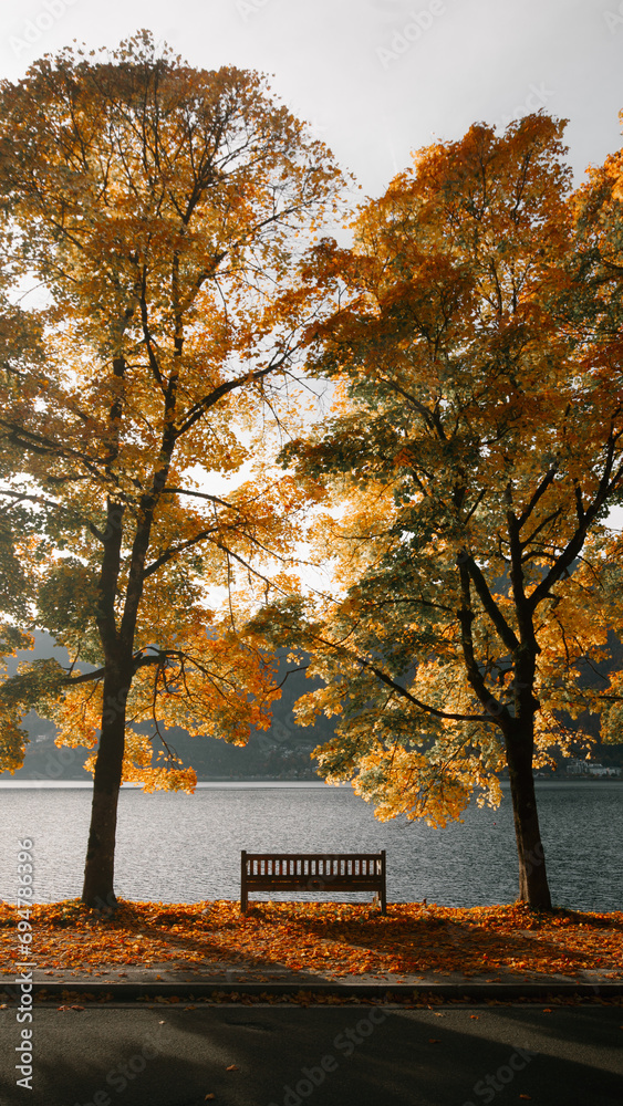 Beautiful fall scenery in Zell am See, Austria with bench and golden foliage on a lake, Salzburg Land, Austria