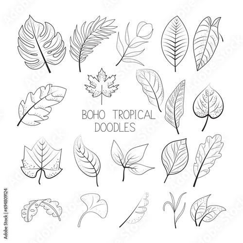 Boho tropical doodle art illustration, hand-drawn Boho tropical elements