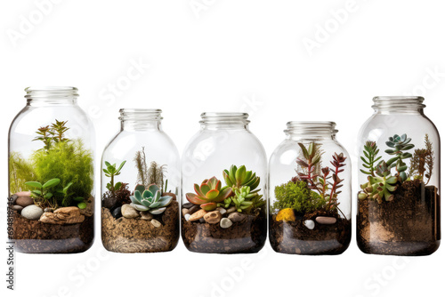 Authentic Terrariums Isolated On Transparent Background