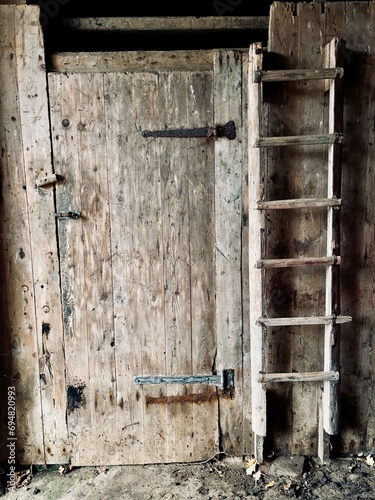 Plakat w ramie Old door