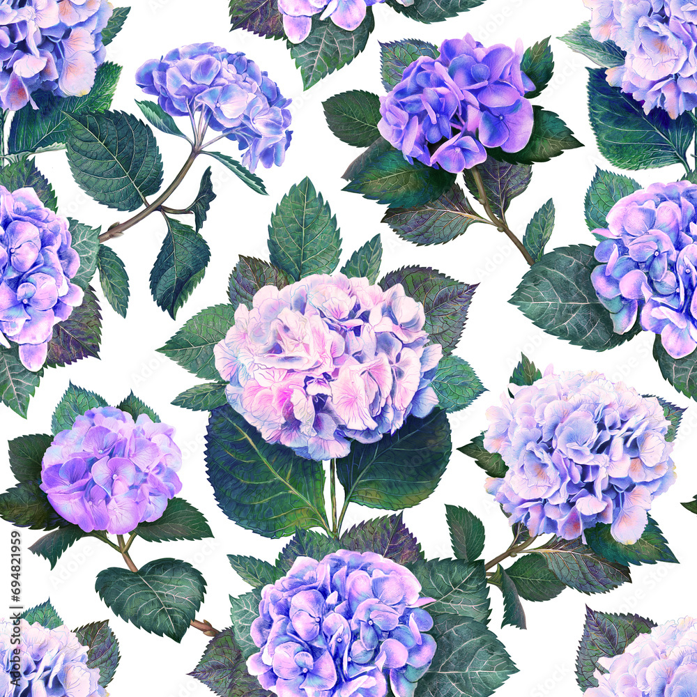 Hydrangea seamless pattern isolated on transparent background detailed watercolor flowers, blue pink violet floral botanical painting illustration