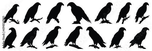 Eagle silhouettes set, large pack of vector silhouette design, isolated white background