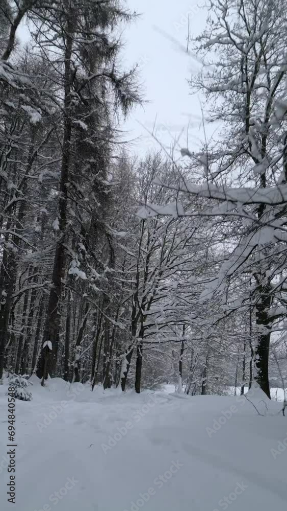 Smooth flight over snowy road in a cold winter forest. Smooth flight over snowy road in a cold winter forest.