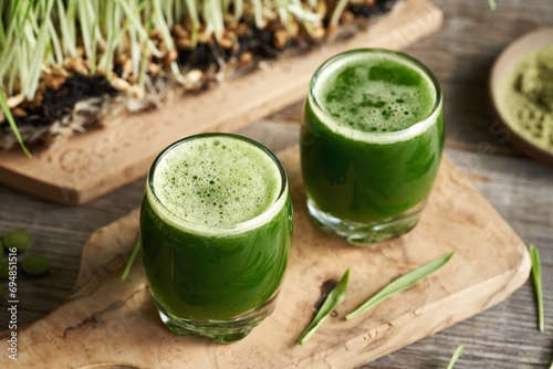 Barley grass juice in two glasses, with fresh blades growing in the background
