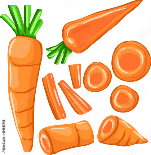 set of carrots vector illustration for menu or recipe