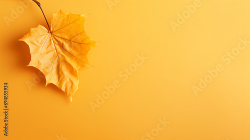 Autumn dried leaf