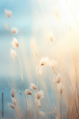 Meadow with wild flowers in the sunny summer day.Soft pastel background