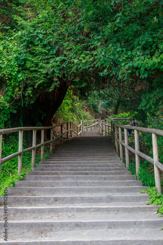 View of stairs leading to Wreck Beach in Vancouver. © Margarita