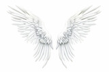 Isolated White Angel Wing For Design Purposes White Background
