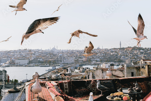 View of the city of Istanbul through flying seagulls. The city is in focus, the seagulls are out of focus. Travelling in Turkey. tourist destinations. postcards of Istanbul. architecture and culture. photo
