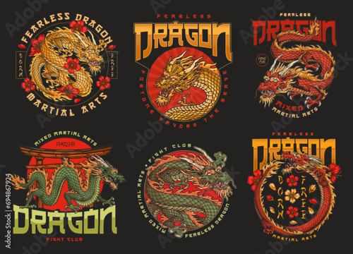 Dragon fight club set flyer