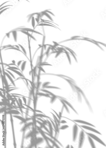 Shadow from bamboo, overlay effect. Realistic gray shadow on transparent background. Ideal for tranquil, nature-inspired themes and minimalist design projects. Sun light. 3D render.