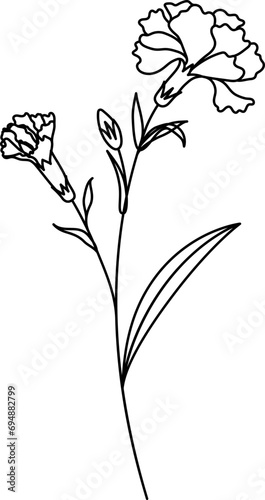 Birth month flower Line Art.