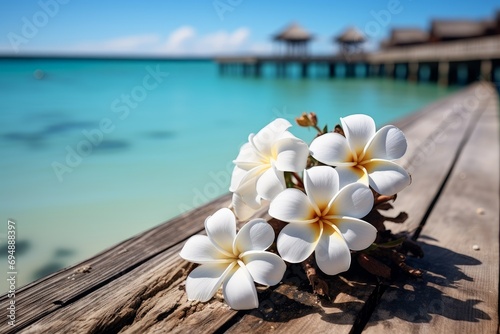 White plumeria flower over clear turquoise blue sea water.