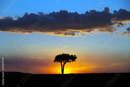 African tree at sunset, Masai Mara National Reserve, Kenya, East Africa photo