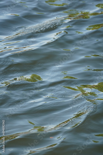 L'onde bleue de l'eau crée un abstrait calme, réfléchissant la lumière estivale. Une texture liquide s'étend, que ce soit à la surface d'un lac, d'un océan ou d'une piscine, capturant la beauté nature photo