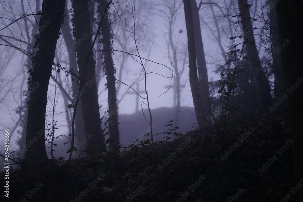 Obraz premium Forêt mystique : arbres dans le brouillard matinal, éclairés par la lumière du soleil. Fleuve brumeux, chemin bleu à travers le bois. Saisons variées en un seul paysage naturel.