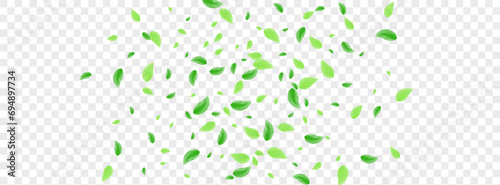Light Green Vegetation Background Transparent Vector. Leaf Set Illustration. Summer Frame. Greenish Growth Design. Leaves Isolate.