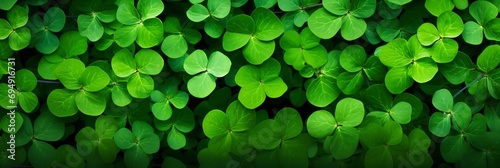 Green Clover Leaves Background. Panoramic View