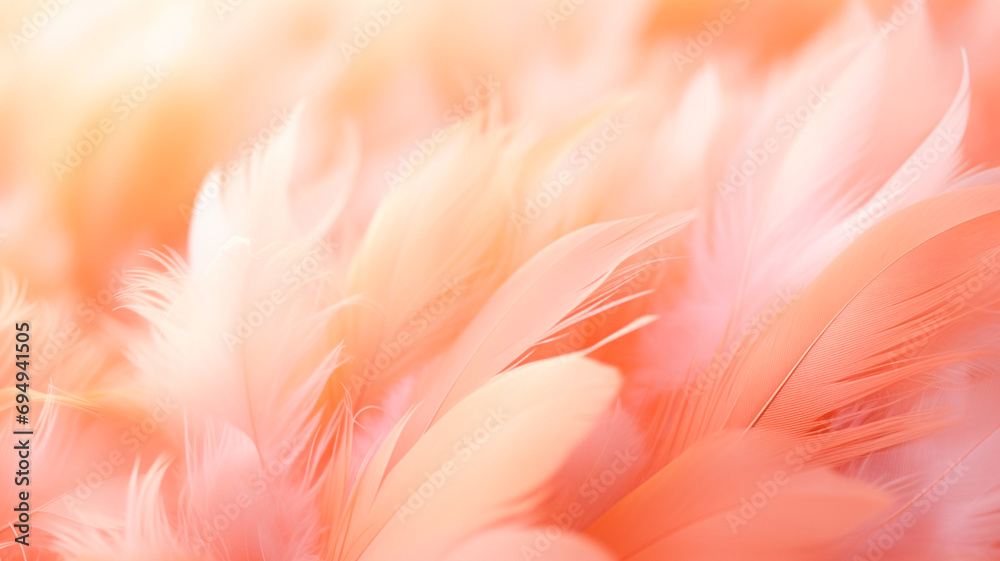 pink feathers close up