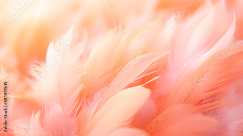 pink feathers close up