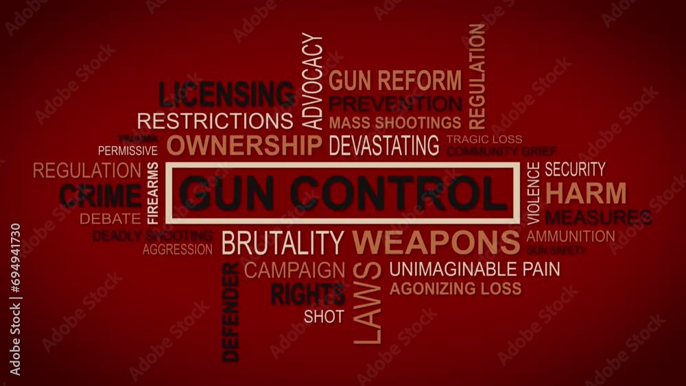 Unveiling Perspectives: A Dynamic Concept of Gun Control Related Themes