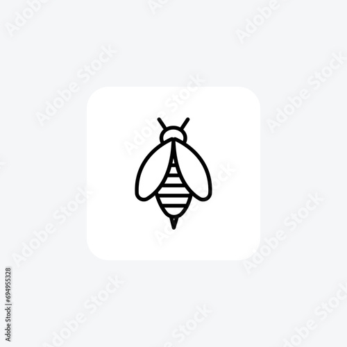 Bee vector line icon, outline icon, pixel perfect icon