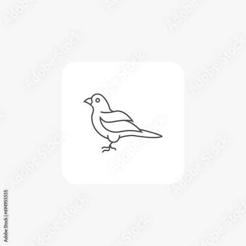 Canary thin line vector icon, outline icon, pixel perfect icon