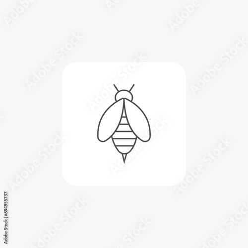 Bee thin line vector icon, outline icon, pixel perfect icon
